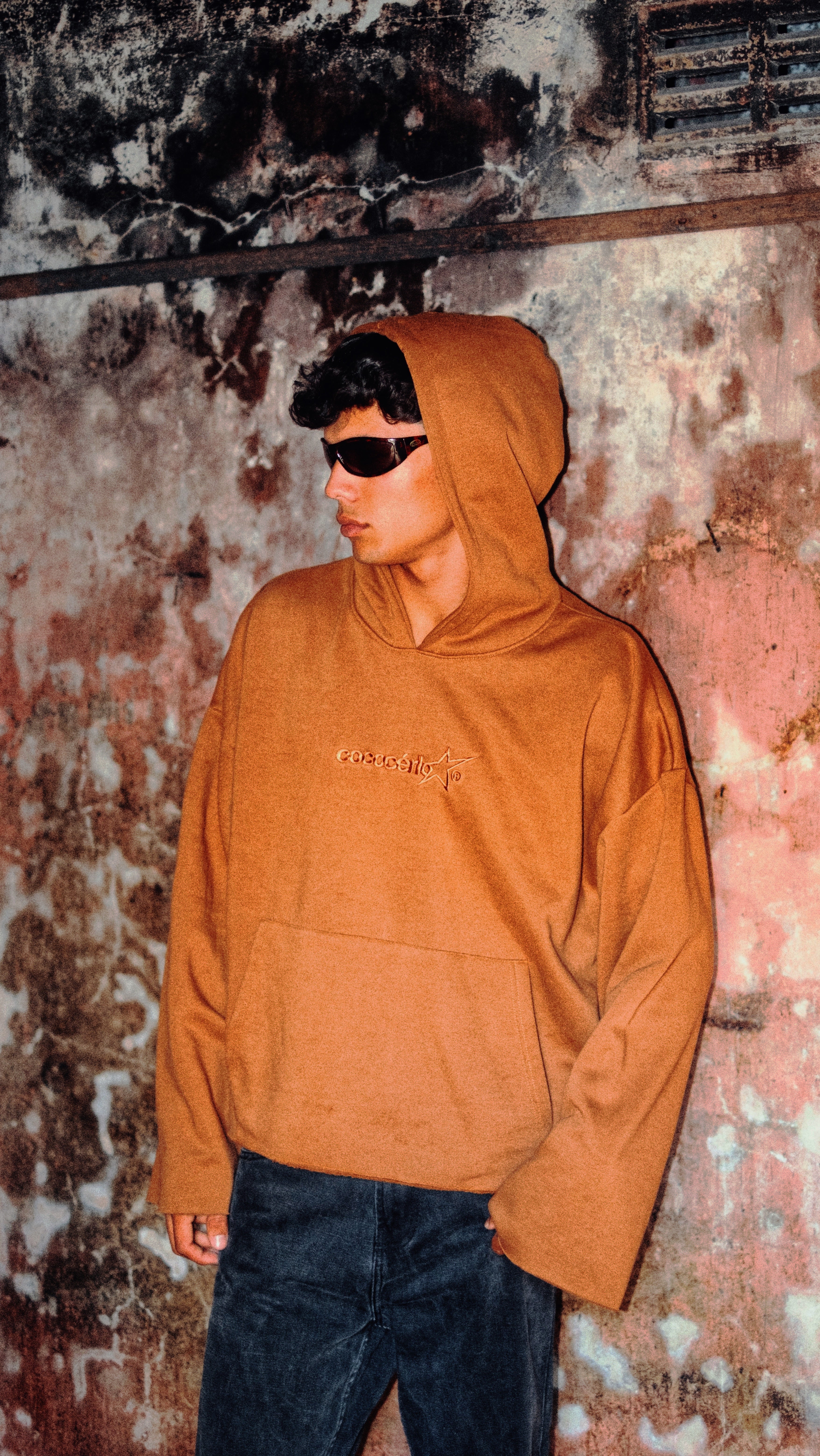 DISTRESSED HOODIE - CHOCOLATE // BROWN EMBROIDERY